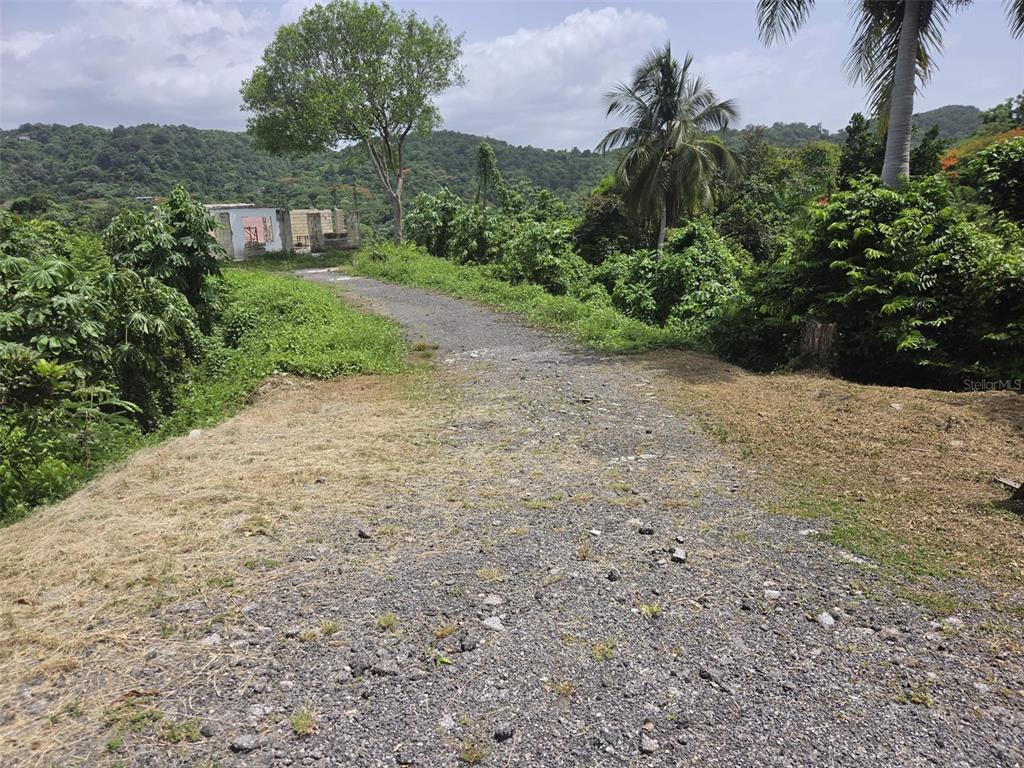 A gravel driveway leads toward a partially constructed concrete structure surrounded by lush tropical vegetation — Carr. 348, Km. 5.7 Int. BO. MALEZAS, MAYAGUEZ, PR