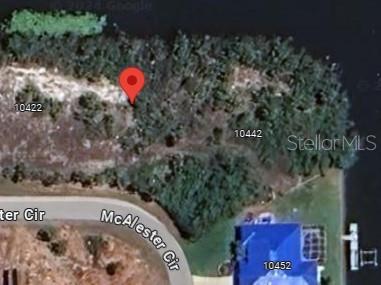 This is a satellite map view showing a vacant wooded lot next to a residential house — 10432 MCALESTER CIRCLE, PORT CHARLOTTE, FL