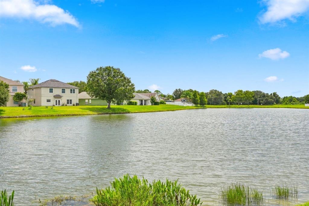 A view of a pond with houses and trees in the background under a blue sky — 31251 BACLAN DRIVE, WESLEY CHAPEL, FL