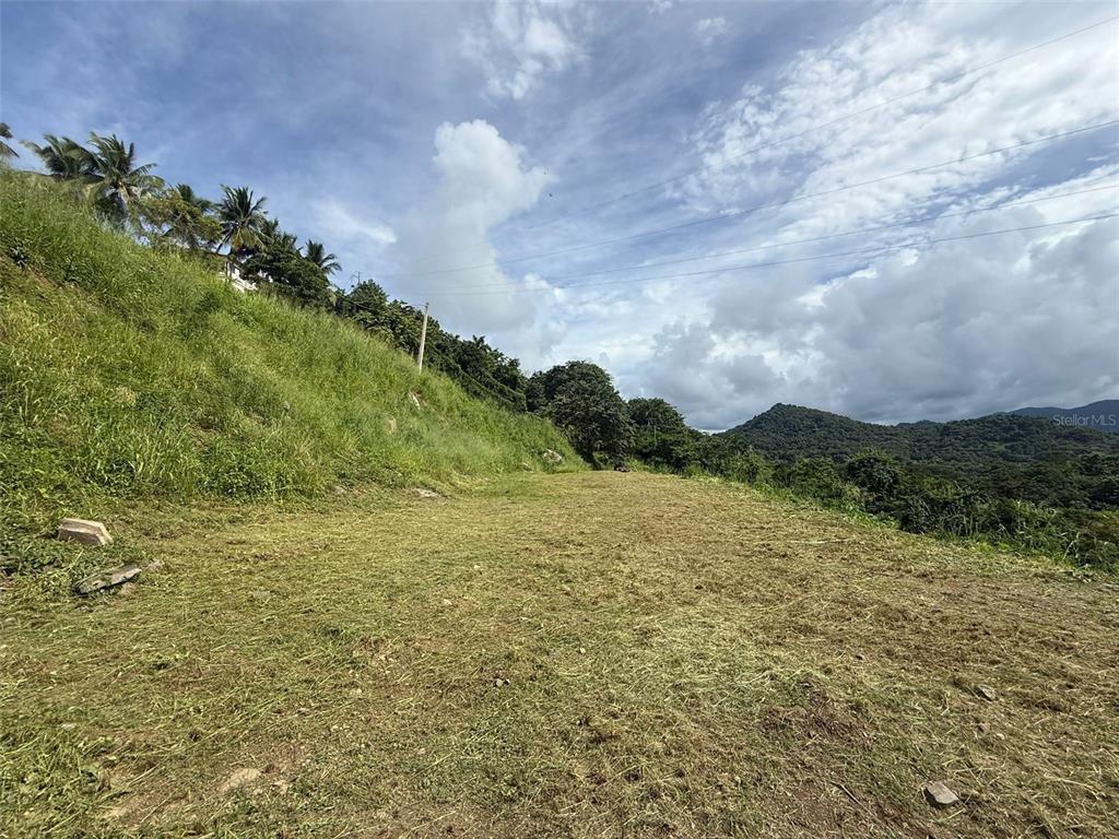10 RAINFOREST AND SEA VIEW RESORT,