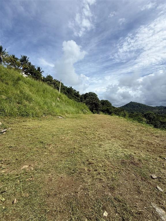 A cleared, grassy lot slopes upward toward a hillside with trees and power lines — 10 RAINFOREST AND SEA VIEW RESORT,, LUQUILLO, PR