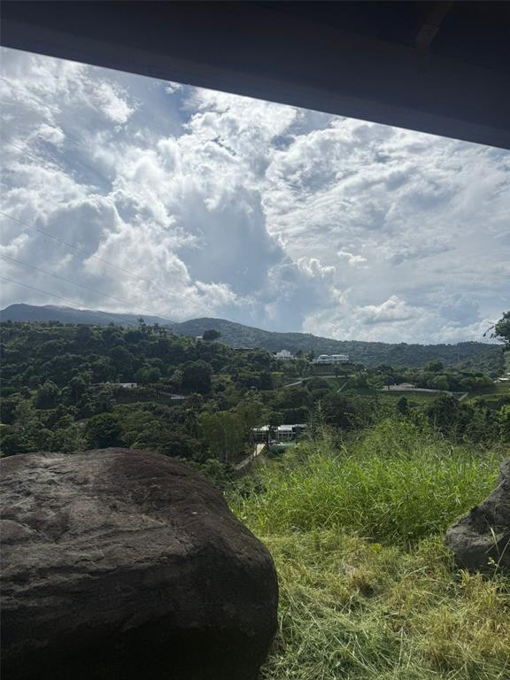 A large boulder sits in the foreground overlooking a lush, hilly landscape under a cloudy sky — 10 RAINFOREST AND SEA VIEW RESORT,, LUQUILLO, PR
