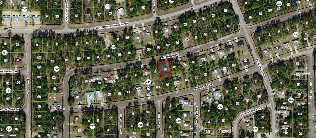 This is an aerial map showing a highlighted vacant lot in a residential neighborhood — 2078 W LINDEN DRIVE, CITRUS SPRINGS, FL