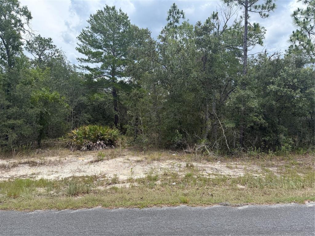 A vacant, wooded lot with sandy soil sits adjacent to an asphalt road — 6215 S PREMIERE AVENUE, HOMOSASSA, FL