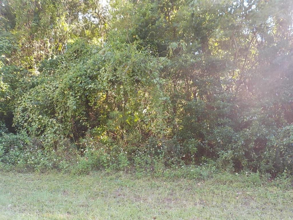 11641 N KENLAKE CIRCLE