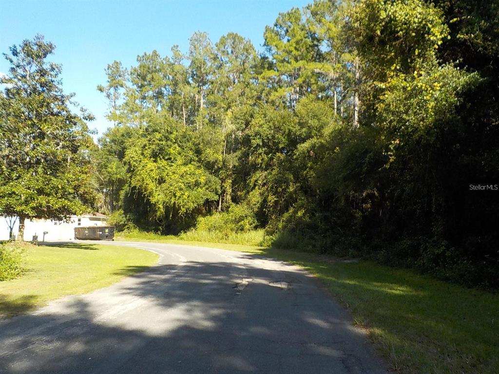 A paved road curves past a grassy area and a dense forest of trees — 11641 N KENLAKE CIRCLE, DUNNELLON, FL