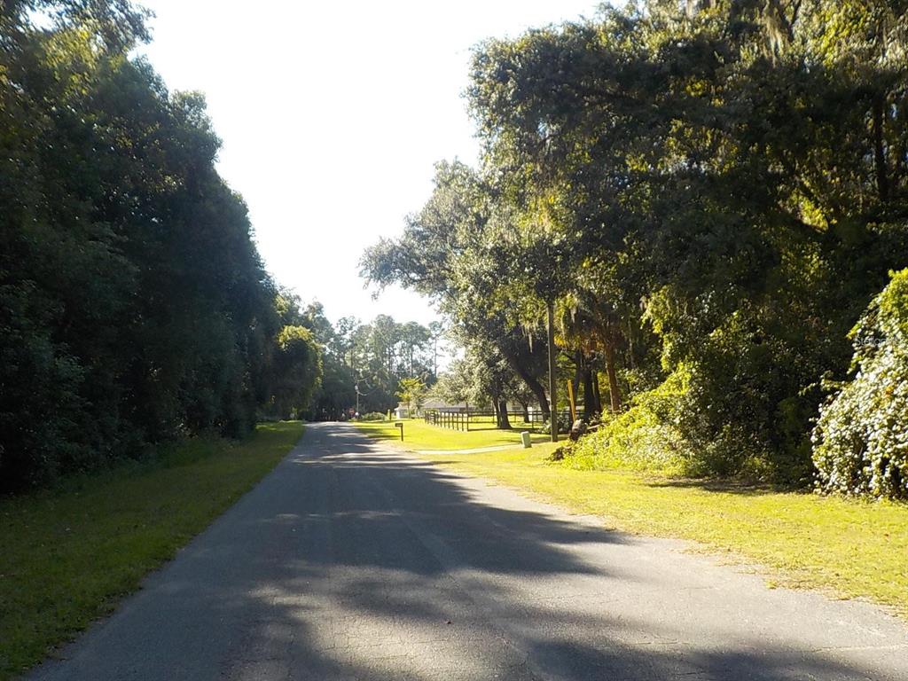 A paved road winds through a tree-lined residential area with grassy shoulders and a fence — 11641 N KENLAKE CIRCLE, DUNNELLON, FL