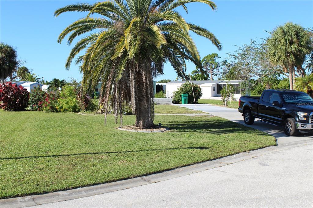 A black pickup truck is parked on a driveway next to a large palm tree — 3304 CATBIRD LANE, ENGLEWOOD, FL