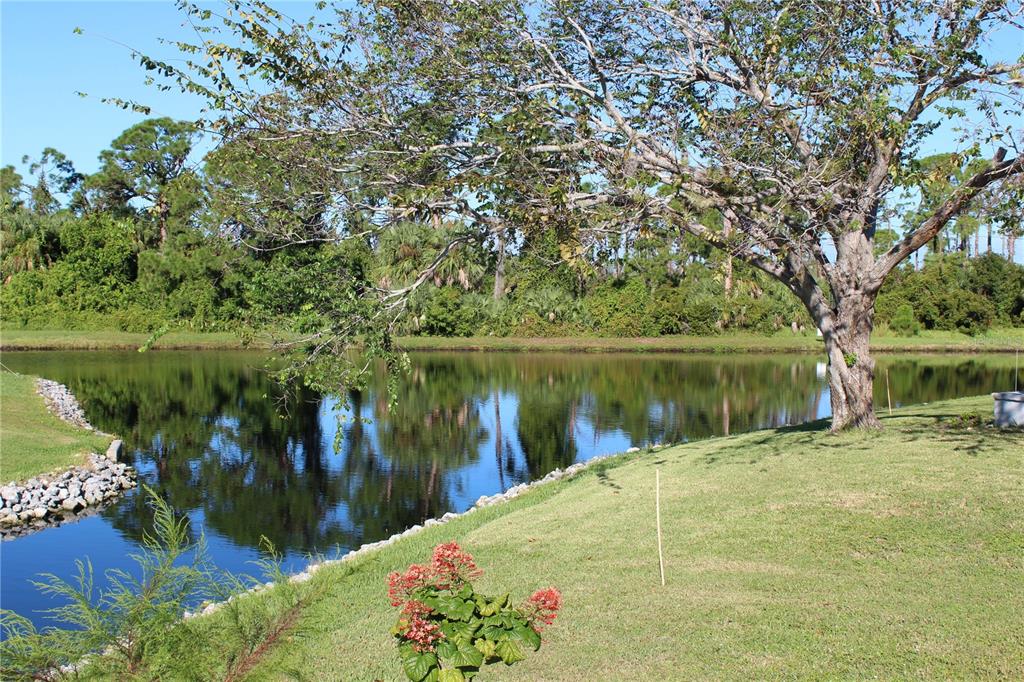A large tree stands on a grassy lawn overlooking a calm pond with wooded surroundings — 3304 CATBIRD LANE, ENGLEWOOD, FL