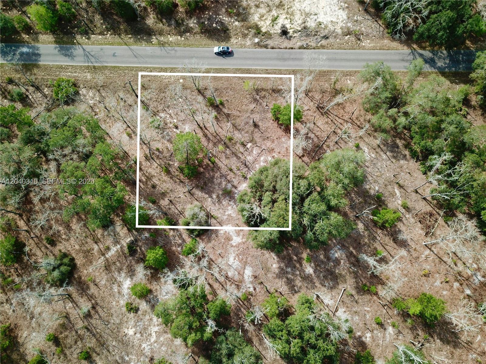 An aerial view shows a rectangular plot of land outlined in white near a road — Lot Nearby 19 Bay Track Court, Other City - In The State Of Florida FL 32179, OTHER CITY - IN THE STATE OF FLORIDA, FL