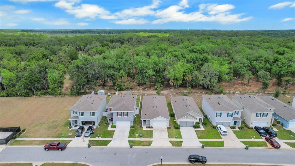 An aerial view shows a row of suburban houses bordering a dense forest — 30112 ARMENIA ROAD, LEESBURG, FL