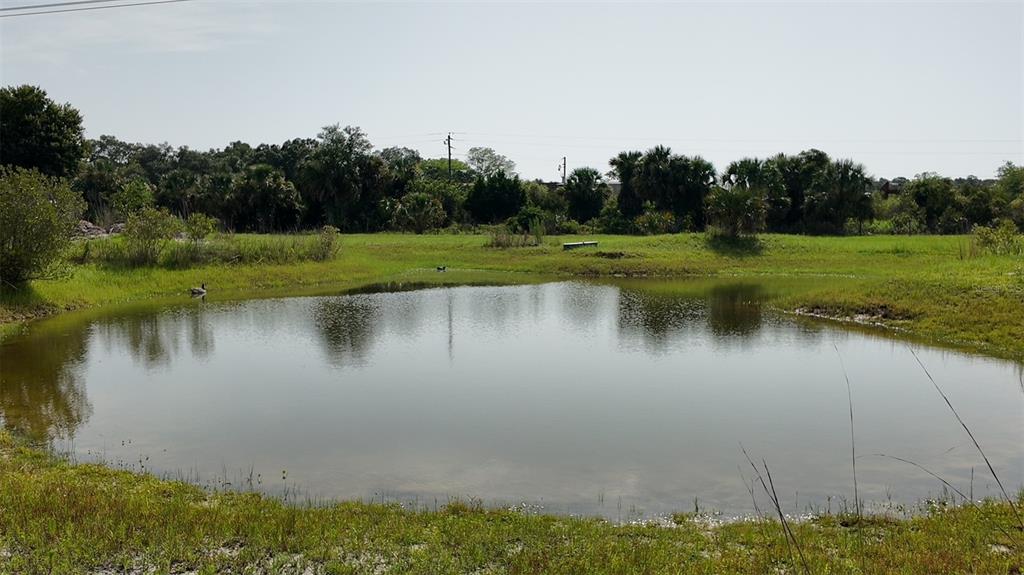 A small pond sits in the center of a grassy, open field with trees behind — 345 TROTTING TRAIL, OSTEEN, FL