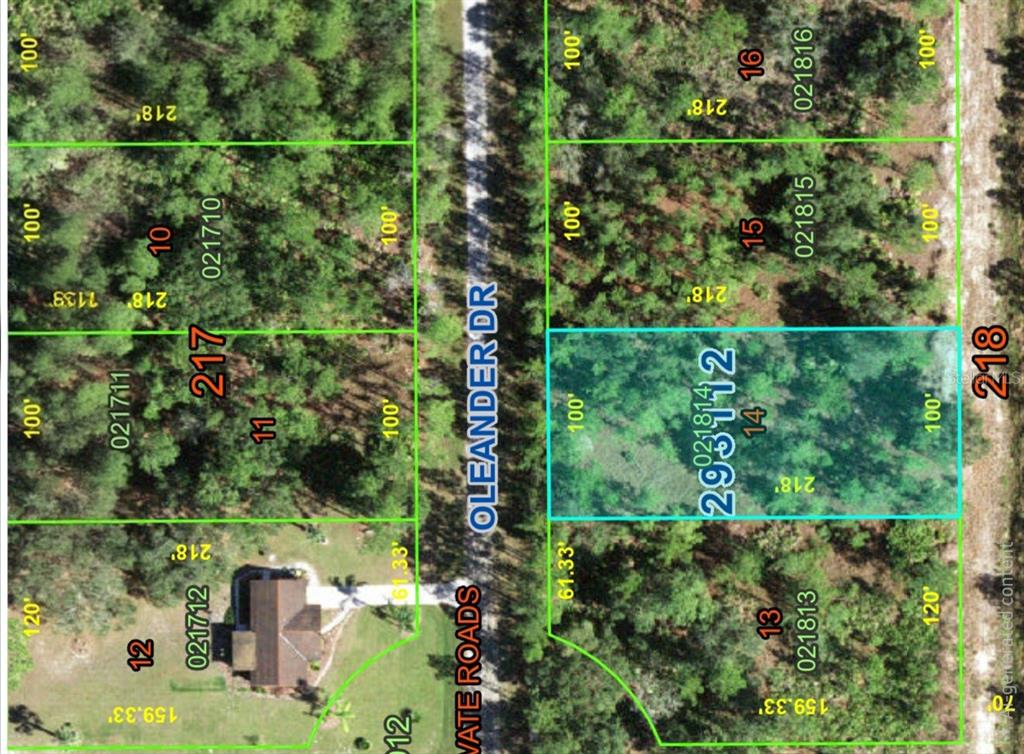 This is a satellite map showing several rectangular land parcels divided by a road — OLEANDER DRIVE, INDIAN LAKE ESTATES, FL