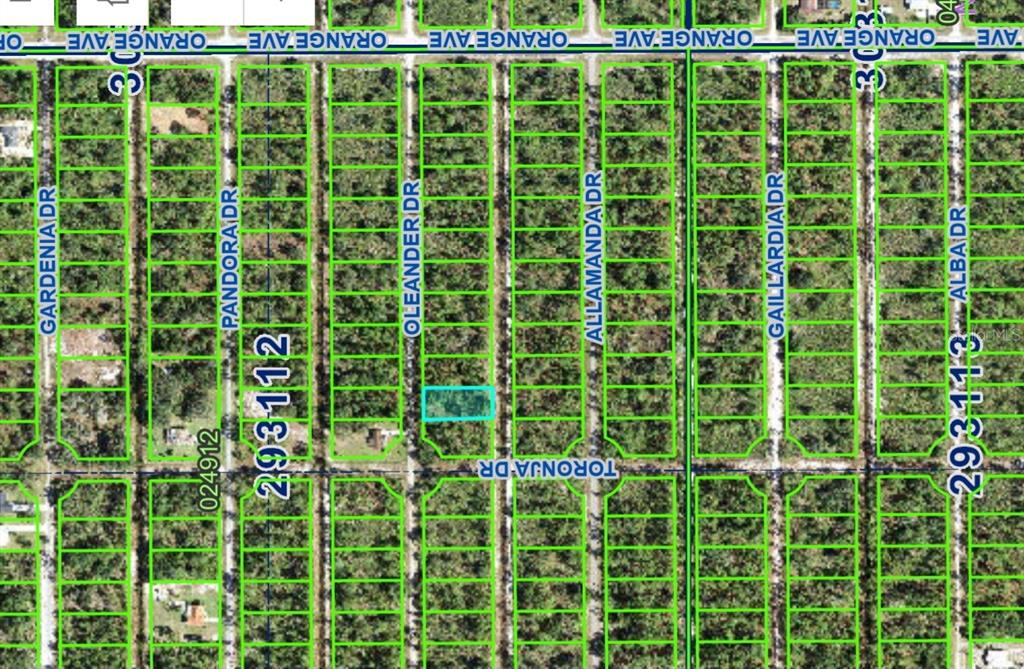 This is a satellite map showing a residential lot highlighted in blue among undeveloped land — OLEANDER DRIVE, INDIAN LAKE ESTATES, FL