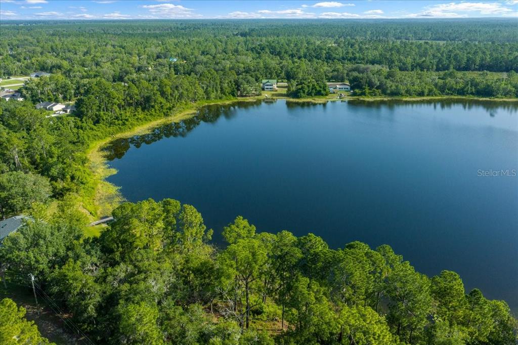 An aerial view shows a lake surrounded by dense forest and a few residential homes — 206 MALAUKA RADIAL, OCKLAWAHA, FL