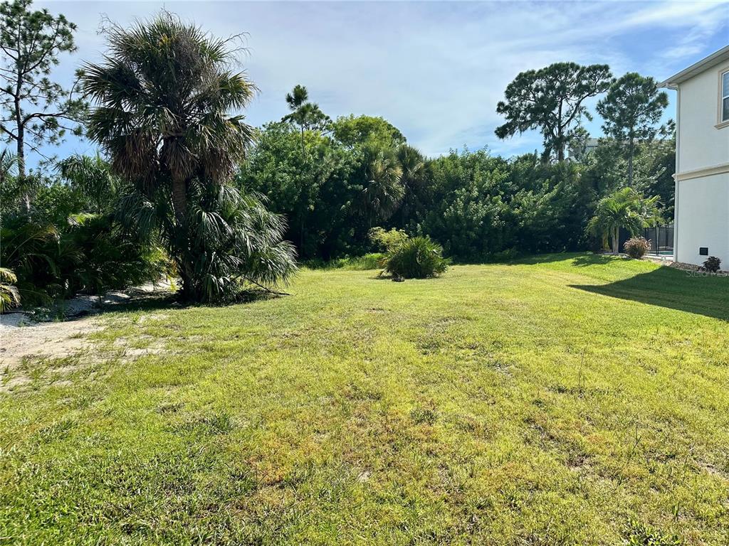 A grassy backyard features a large palm tree and dense foliage against a blue sky — 0 EGRETS PLACE, NEW PORT RICHEY, FL