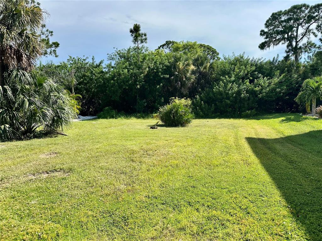 A grassy backyard features a small central shrub surrounded by dense trees and palm foliage — 0 EGRETS PLACE, NEW PORT RICHEY, FL