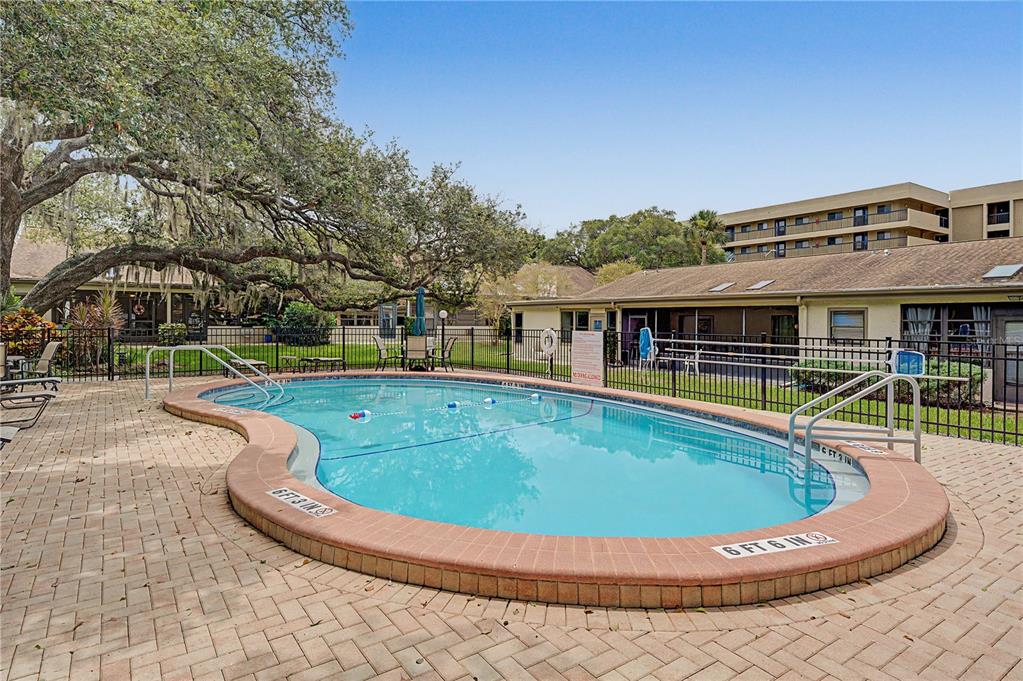 An outdoor swimming pool with a brick paver deck surrounded by a black metal fence — 1206 PALM DRIVE, TARPON SPRINGS, FL