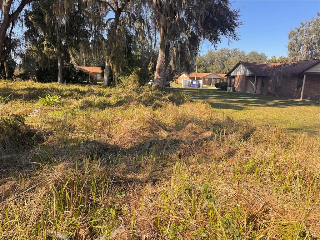 An overgrown grassy lot sits next to a brick house under large, moss-covered trees — 3814 E C 478, WEBSTER, FL