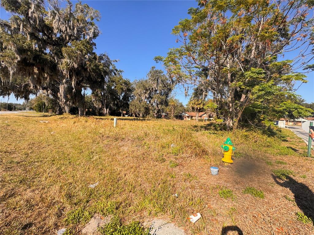 A vacant, grassy lot features a yellow fire hydrant and several large, moss-covered trees — 3814 E C 478, WEBSTER, FL