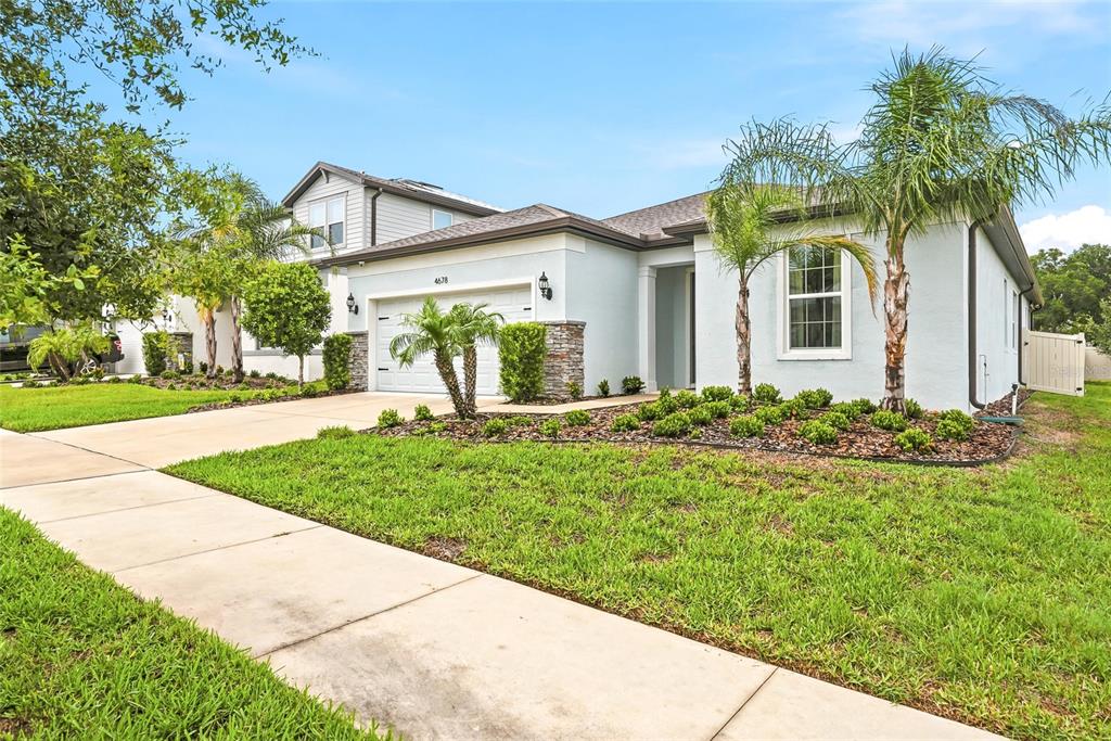 A light-colored single-story house with a two-car garage, palm trees, and a manicured lawn — 4678 DOVER BLUFF COURT, VALRICO, FL