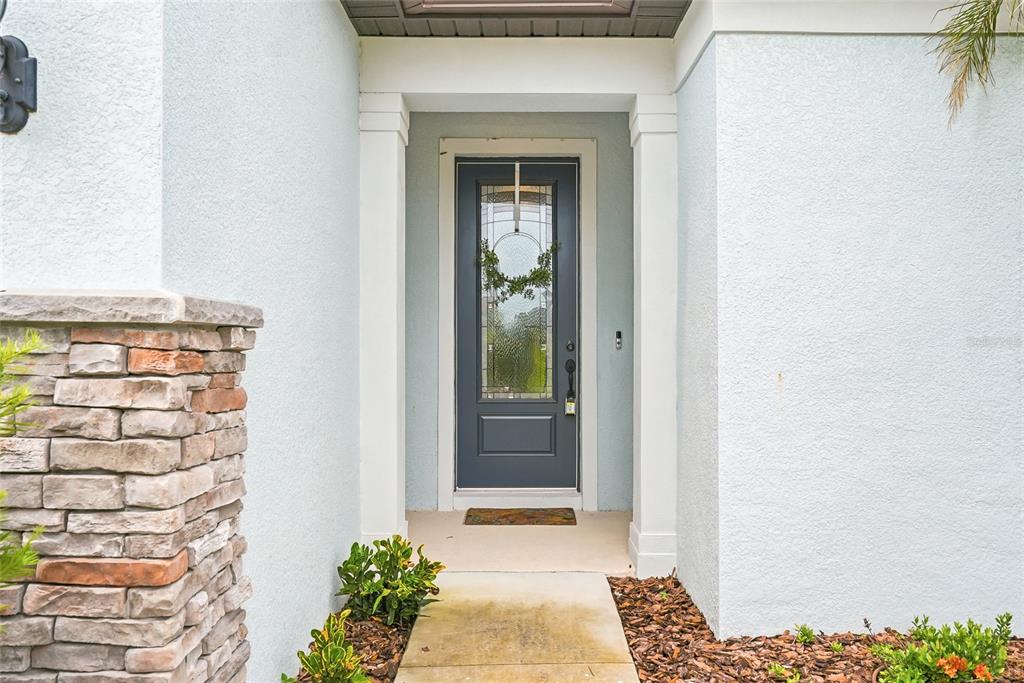 A front entryway features a dark gray door with a glass insert and stone accents — 4678 DOVER BLUFF COURT, VALRICO, FL