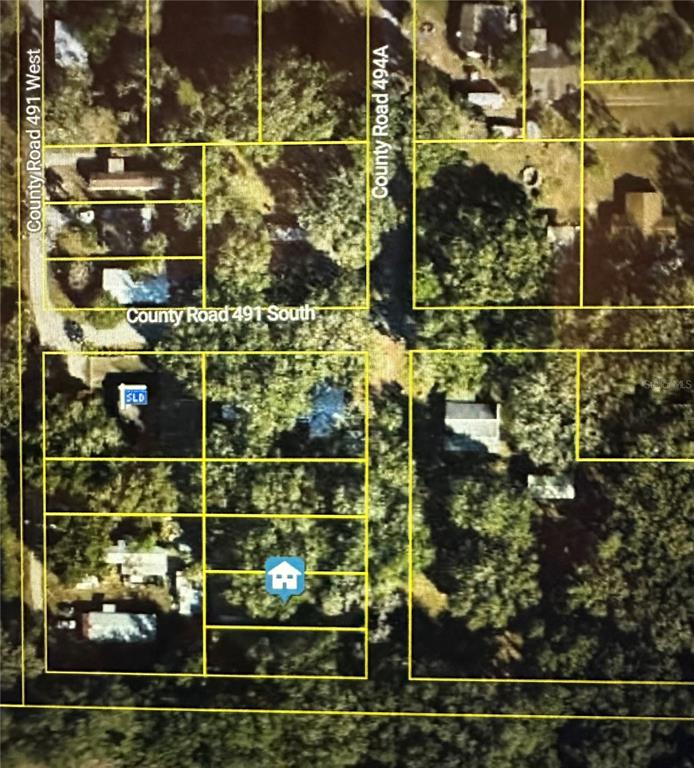 LOT #5, LAKE PANASOFFKEE, FL — photo 3 of 5