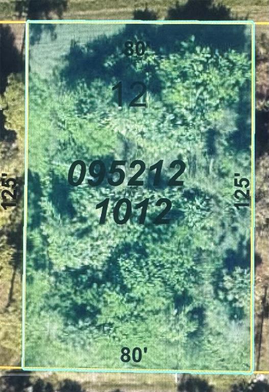 An aerial map shows a rectangular plot of land measuring 80 feet by 125 feet — FRANZINO AVENUE, NORTH PORT, FL