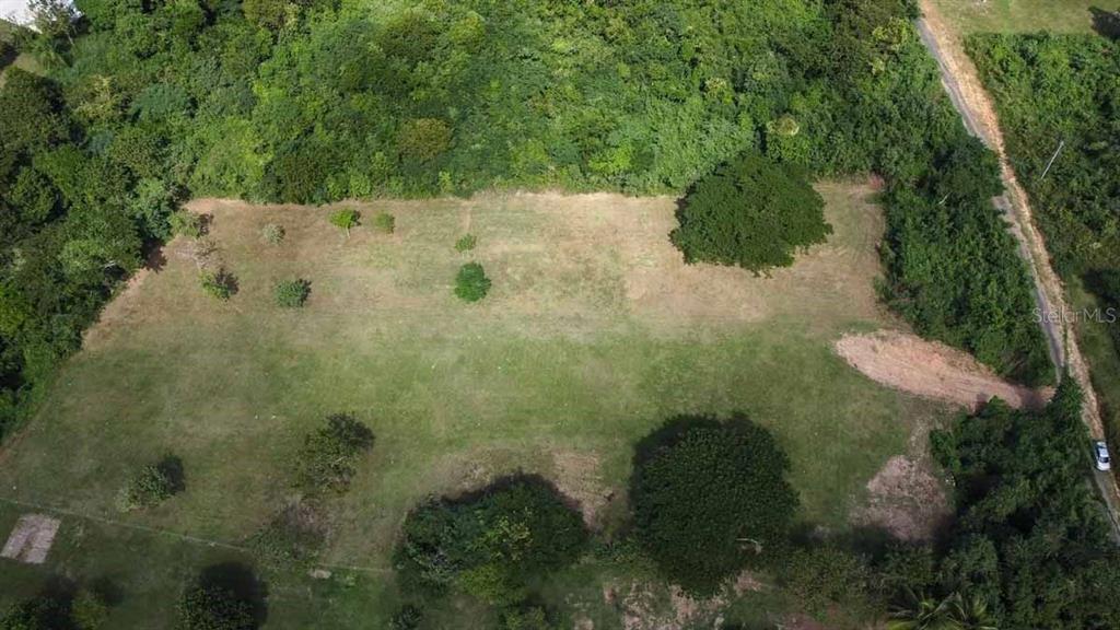 An aerial view shows a large, grassy, rectangular plot of land surrounded by dense trees — 37 HIDEAWAY LANE, VIEQUES, PR