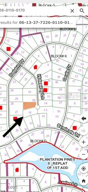 This is a map showing a highlighted residential lot located on Hideaway Lane — 215 HIDEAWAY LANE, GEORGETOWN, FL