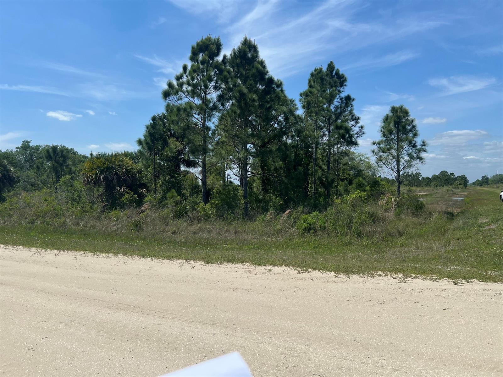 A dirt road runs in front of a small cluster of pine trees and shrubs — 17616 NW 300th Street, Okeechobee FL 34972, OKEECHOBEE, FL