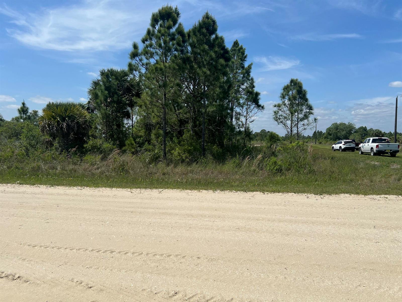 A dirt road leads to a grassy lot with pine trees and two parked vehicles — 17616 NW 300th Street, Okeechobee FL 34972, OKEECHOBEE, FL