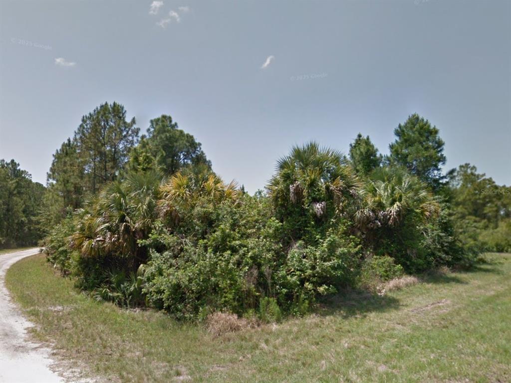 A dirt road curves past a dense thicket of palm trees and native vegetation — 0 RAVEN STREET, NORTH PORT, FL