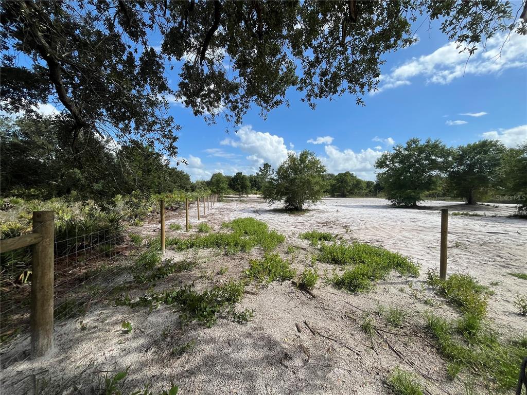 A fenced, sandy lot features scattered trees under a blue sky with white clouds — 16916 NW 262ND STREET, OKEECHOBEE, FL