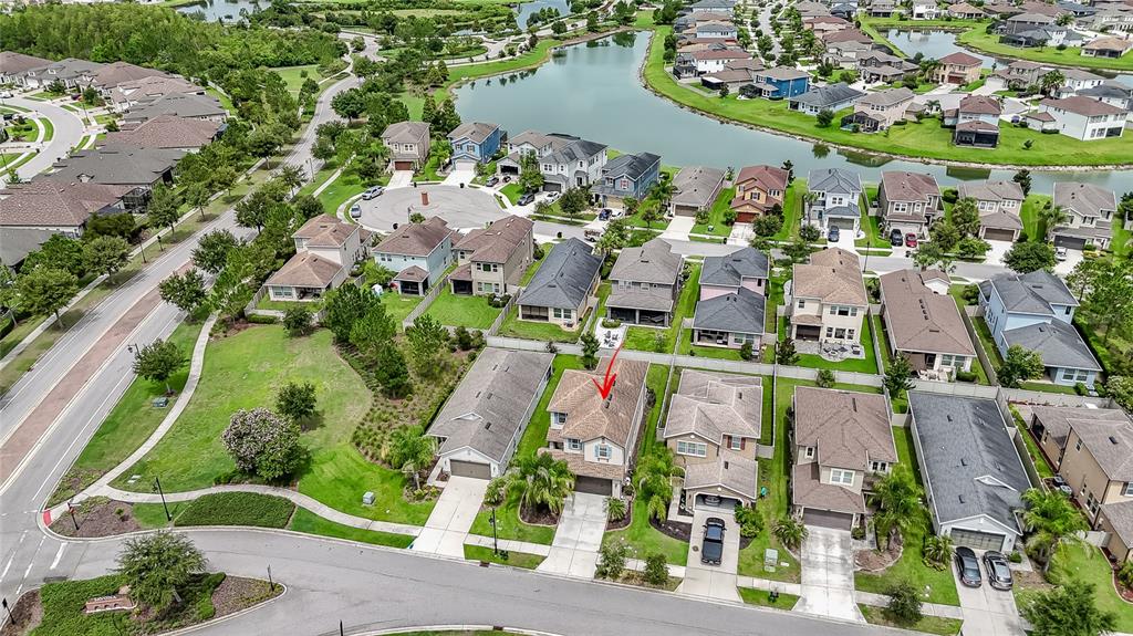 An aerial view shows a suburban neighborhood with houses, a lake, and green spaces — 4459 TRAMANTO LANE, WESLEY CHAPEL, FL