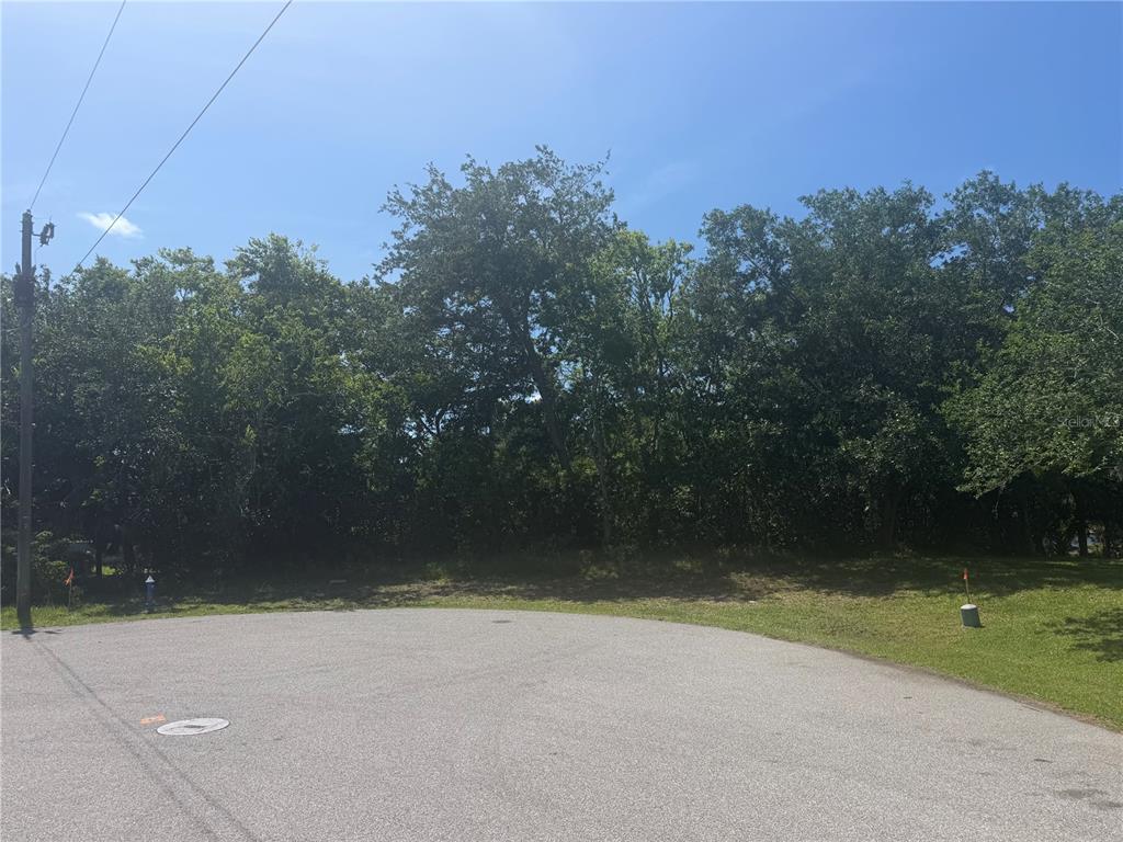 A paved cul-de-sac borders a wooded lot with a utility pole and survey markers — 14 FLAGLER PLACE, PALM COAST, FL