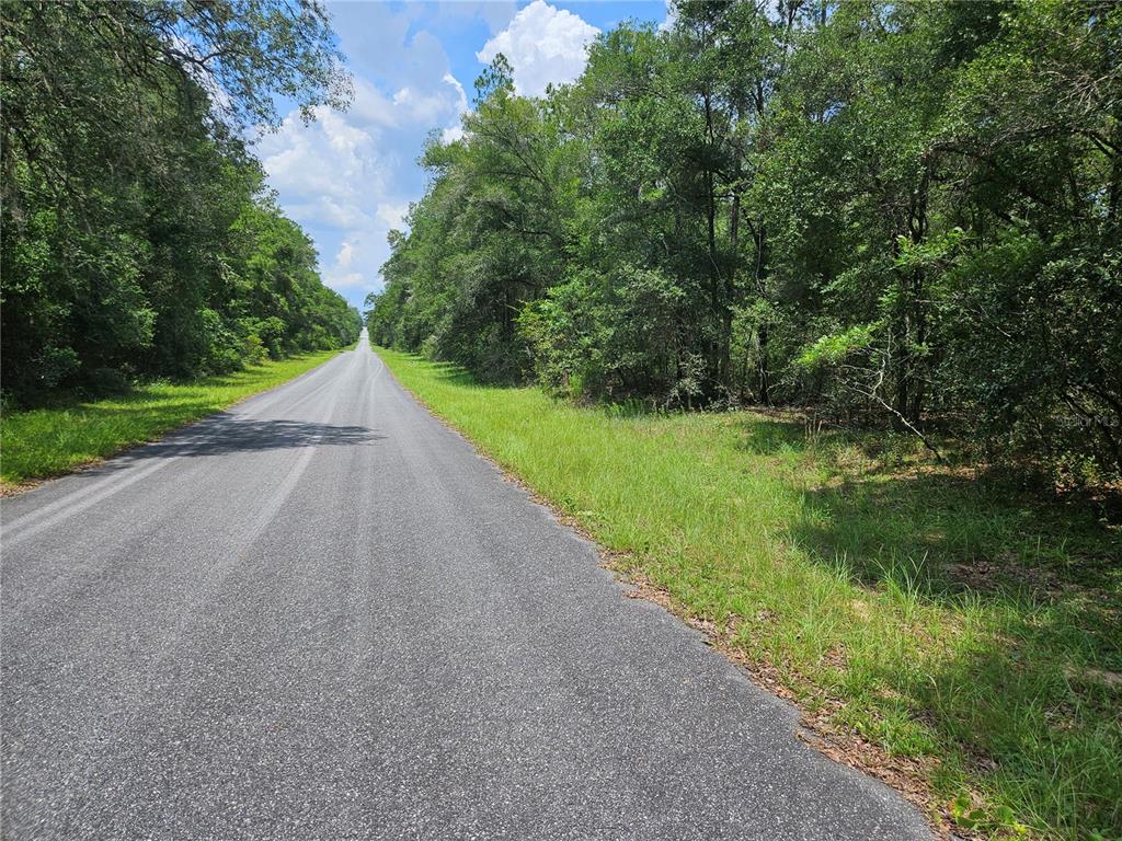 A paved road stretches into the distance, flanked by dense green trees and grassy shoulders — 1139 KINGSDALE ST., DUNNELLON, FL