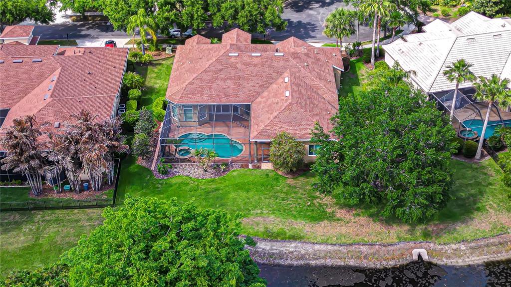An aerial view shows a house with a brown roof, screened pool, and backyard lawn — 21338 LAKE VIENNA DRIVE DRIVE, LAND O LAKES, FL