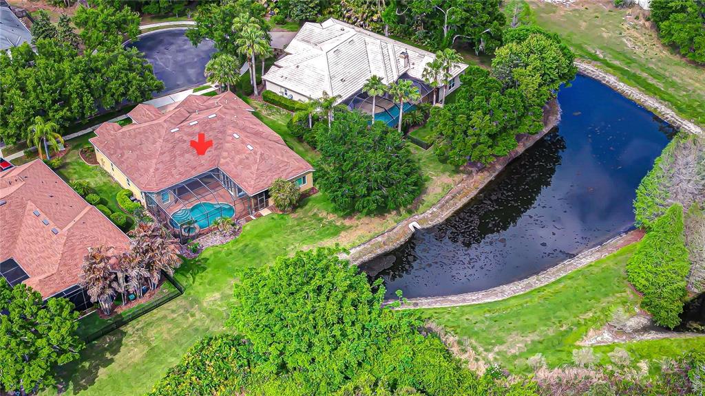 An aerial view shows several houses with swimming pools and screened lanais near a pond — 21338 LAKE VIENNA DRIVE DRIVE, LAND O LAKES, FL