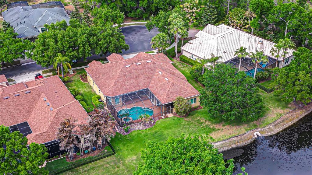 An aerial view shows three suburban houses with swimming pools and backyards near a lake — 21338 LAKE VIENNA DRIVE DRIVE, LAND O LAKES, FL