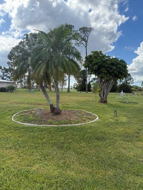 A palm tree and a large leafy tree stand in a grassy field under clouds — 418 VIVAR, NORTH PORT, FL