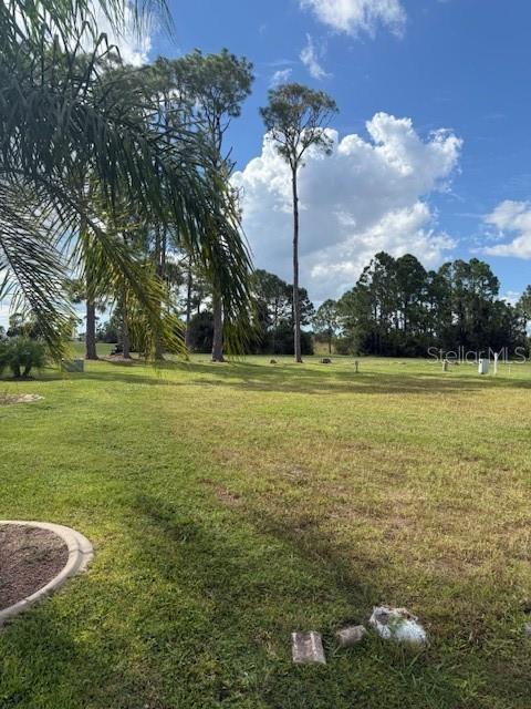 A grassy, open lot features scattered pine trees under a bright blue sky — 418 VIVAR, NORTH PORT, FL