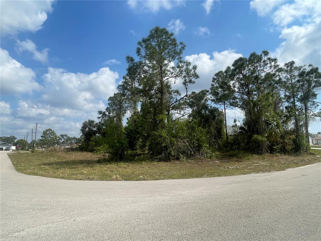 A vacant, wooded corner lot sits at the intersection of two paved residential streets — 1054/1056 ALBERT AVENUE, LEHIGH ACRES, FL