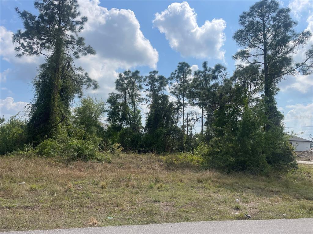 A vacant, grassy lot features several tall pine trees and dense brush under a cloudy sky — 1054/1056 ALBERT AVENUE, LEHIGH ACRES, FL