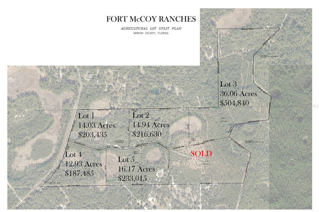 This is a map showing an agricultural lot split plan for Fort McCoy Ranches — NE 150TH AVE ROAD LOT 1, FORT MC COY, FL