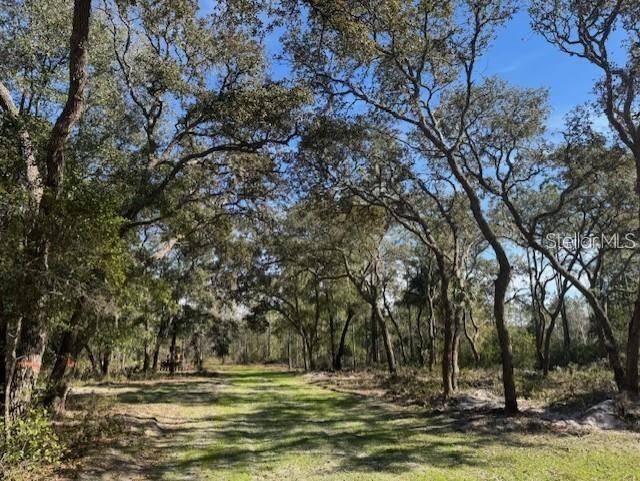 A grassy path leads through a wooded area with many tall, mature oak trees — NE 150TH AVE ROAD LOT 1, FORT MC COY, FL