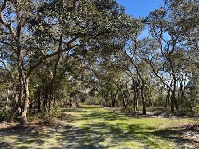 A dirt path leads through a wooded area with many large, mature oak trees — NE 150TH AVE ROAD LOT 1, FORT MC COY, FL