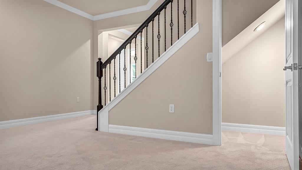A carpeted room features a staircase with black metal railings and a white door — 9212 HANGING VINE COURT, ORLANDO, FL
