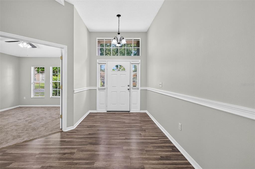 An entryway with wood-look flooring, light gray walls, white trim, and a front door — 2605 VALENCIA GROVE DRIVE, VALRICO, FL