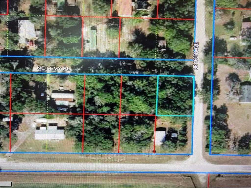 This is an aerial map showing a vacant lot outlined in blue near a road — Lot 19 NE LEVY PLACE, WILLISTON, FL